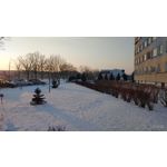 Zdjęcia użytkowników LG V50 ThinQ 5G