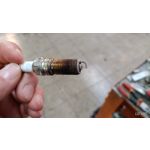 Zdjęcia użytkowników LG V50 ThinQ 5G