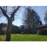 Zdjęcia użytkowników LG V50 ThinQ 5G