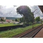 Zdjęcia użytkowników LG V50 ThinQ 5G