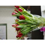 Zdjęcia użytkowników LG V50 ThinQ 5G