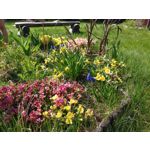 Zdjęcia użytkowników LG V50 ThinQ 5G