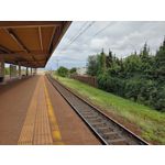 Zdjęcia użytkowników LG V50 ThinQ 5G