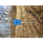 Zdjęcia użytkowników LG V50 ThinQ 5G