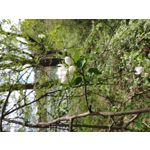 Zdjęcia użytkowników LG V50 ThinQ 5G