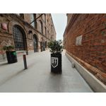 Zdjęcia użytkowników LG Wing