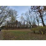 Zdjęcia użytkowników LG Wing