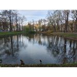 Zdjęcia użytkowników LG Wing