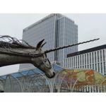 Zdjęcia użytkowników LG Wing