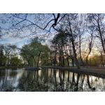 Zdjęcia użytkowników LG Wing