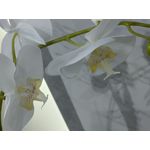 Zdjęcia użytkowników LG Wing