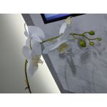 Zdjęcia użytkowników LG Wing