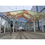 Zdjęcia użytkowników LG Wing