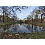 Zdjęcia użytkowników LG Wing