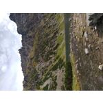 Zdjęcia użytkowników LG X Mach