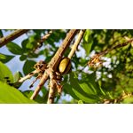 Zdjęcia użytkowników LG X Mach