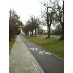 ZDJĘCIA Z TEGO TELEFONU