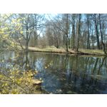 Zdjęcia użytkowników Manta MSP94501 Easy Selfie Zdjęcia użytkowników Manta MSP94501 Easy Selfie