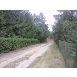 Zdjęcia użytkowników MaxCom MK241 4G