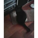 ZDJĘCIA Z TEGO TELEFONU