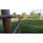 Zdjęcia użytkowników MaxCom MS505