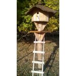 Zdjęcia użytkowników MaxCom MS505