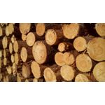 Zdjęcia użytkowników MaxCom MS505