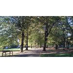 Zdjęcia użytkowników MaxCom MS505