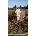 Zdjęcia użytkowników MaxCom MS505