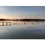 ZDJĘCIA Z TEGO TELEFONU