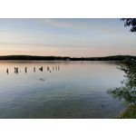 ZDJĘCIA Z TEGO TELEFONU