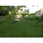 Zdjęcia użytkowników Meizu M1 Note