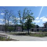 ZDJĘCIA Z TEGO TELEFONU