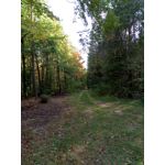 Zdjęcia użytkowników Meizu M5