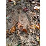 Zdjęcia użytkowników Meizu M5