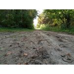 Zdjęcia użytkowników Meizu M5