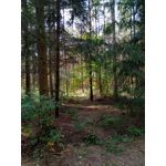 Zdjęcia użytkowników Meizu M5