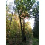 Zdjęcia użytkowników Meizu M5