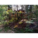 Zdjęcia użytkowników Meizu M5