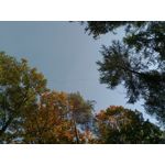 Zdjęcia użytkowników Meizu M5