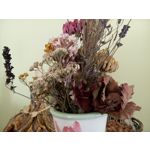 Zdjęcia użytkowników Meizu MX4