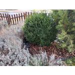 Zdjęcia użytkowników Meizu Pro 6 Plus Zdjęcia użytkowników Meizu Pro 6 Plus