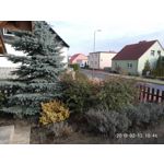 Zdjęcia użytkowników Meizu Pro 6 Plus Zdjęcia użytkowników Meizu Pro 6 Plus