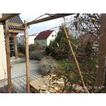 Zdjęcia użytkowników Meizu Pro 6 Plus Zdjęcia użytkowników Meizu Pro 6 Plus