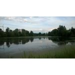 Zdjęcia użytkowników Microsoft Lumia 535 Dual SIM