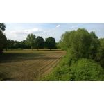 Zdjęcia użytkowników Microsoft Lumia 535 Dual SIM