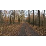 Zdjęcia użytkowników Microsoft Lumia 550