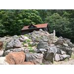 Zdjęcia użytkowników Microsoft Lumia 550