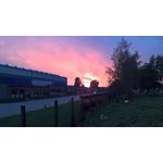 Zdjęcia użytkowników Microsoft Lumia 550