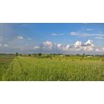 Zdjęcia użytkowników Microsoft Lumia 550